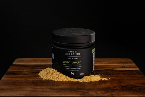 The Role of Supplements in Supporting Your Pet's Health