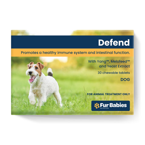 Fur Babies Dog Defend